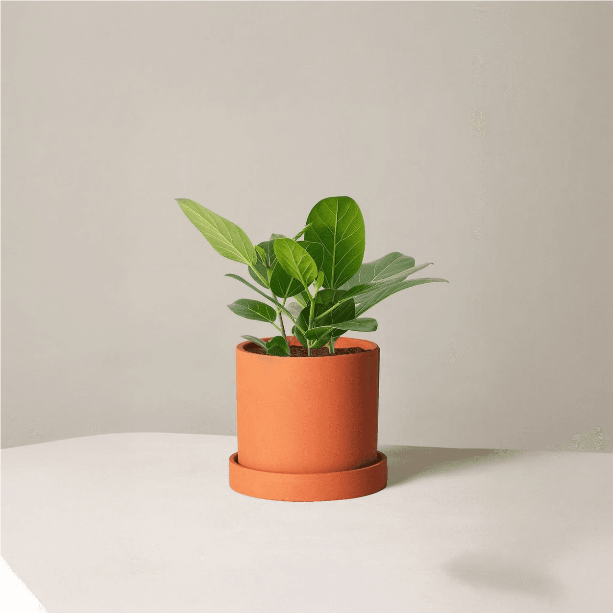 This is a test title